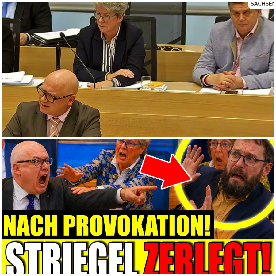 Skandal Debatte AfD Kirchner rechnet gnadenlos mit STRIEGEL ab!