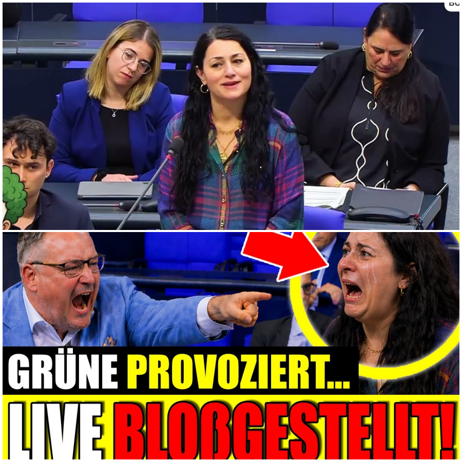 Peinlicher Angriff der Grünen – dann wird sie komplett zerlegt!