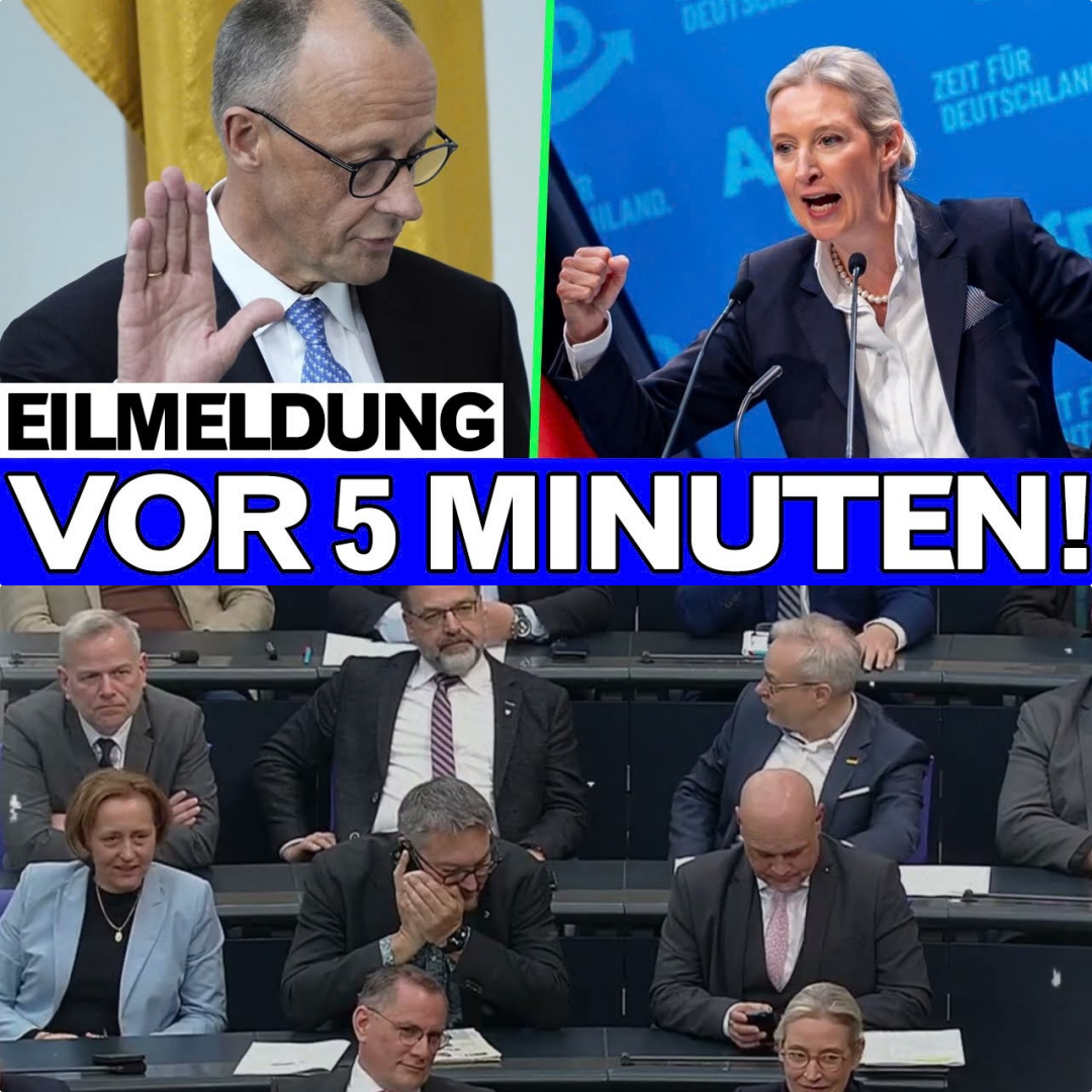 Das Warschauer Protokoll: Alice Weidels Enthüllung im Bundestag stürzt Friedrich Merz in Erklärungsnot