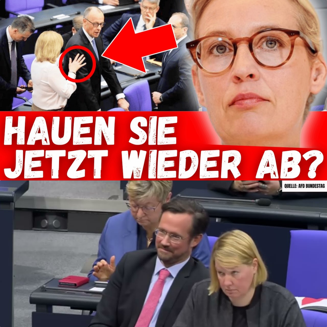 Peinliche Flucht vor der Wahrheit: Wie Tino Chrupalla Friedrich Merz im Bundestag stellte und die Union den Saal verließ