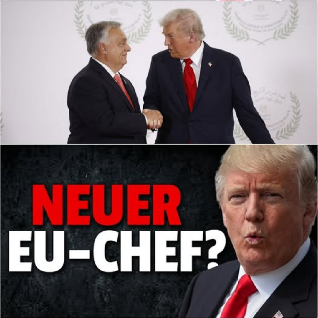Geheimdienst-Leak enthüllt: Wird Viktor Orbán der neue EU-Chef und Trumps Trojanisches Pferd in Brüssel?