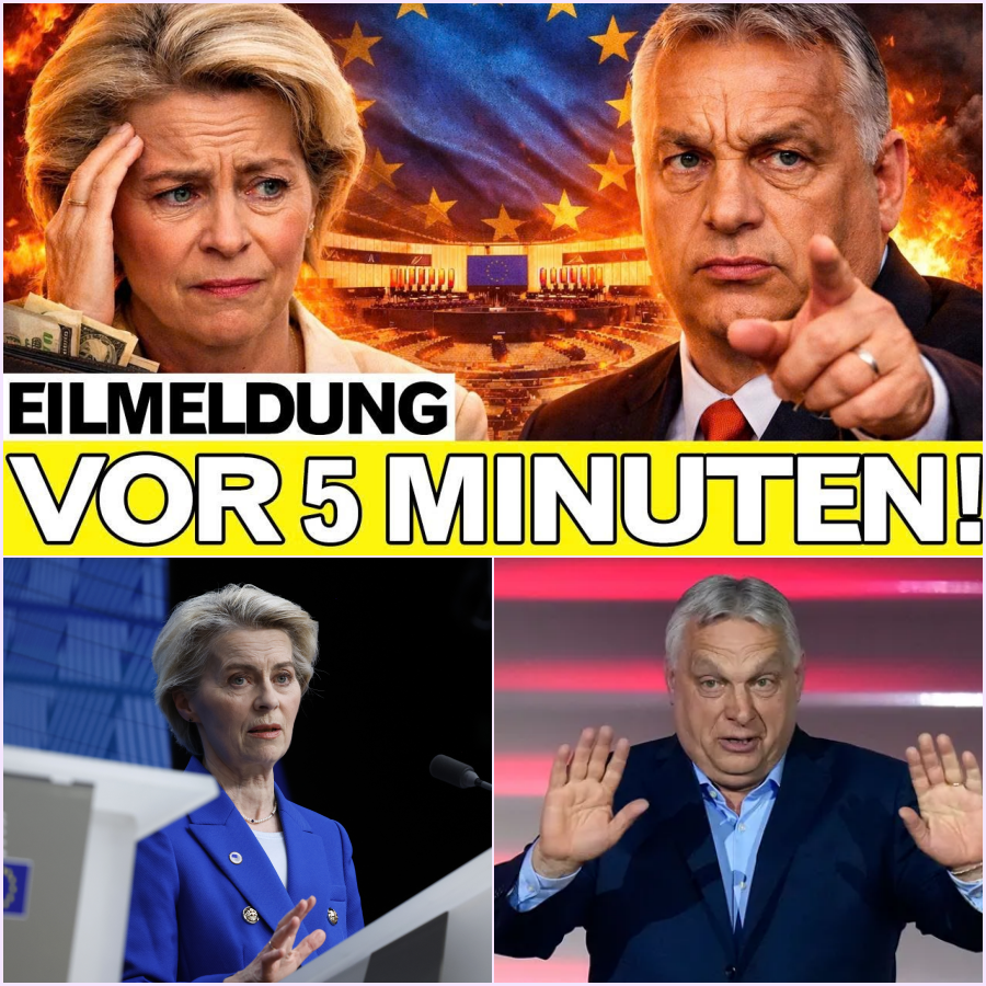 Der Moment, der Brüssel erschütterte: Eine schwarze Akte, Millionenbeträge und das laute Schweigen der Macht