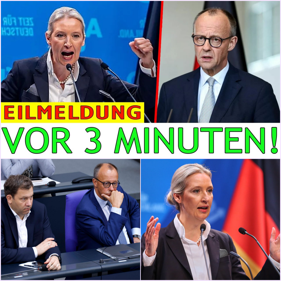 Der 500-Milliarden-Schatten: Wackelt die Immunität von Kanzler Friedrich Merz im größten Finanzkrimi der Republik?