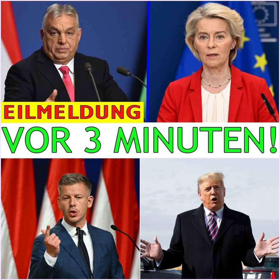 Ein politisches Erdbeben: Ungarns beispielloses Ultimatum an die EU und der radikale Umbau einer Nation