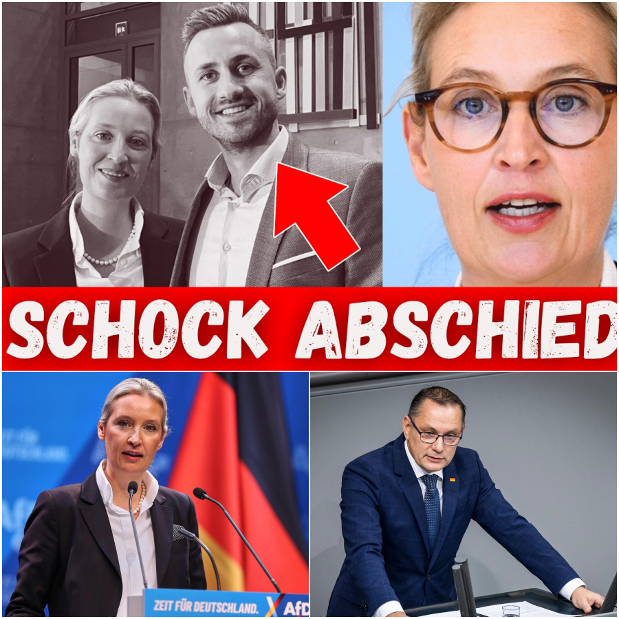 Verschleierte Fakten und der drohende Kollaps: Alice Weidels Generalabrechnung mit der deutschen Migrationspolitik