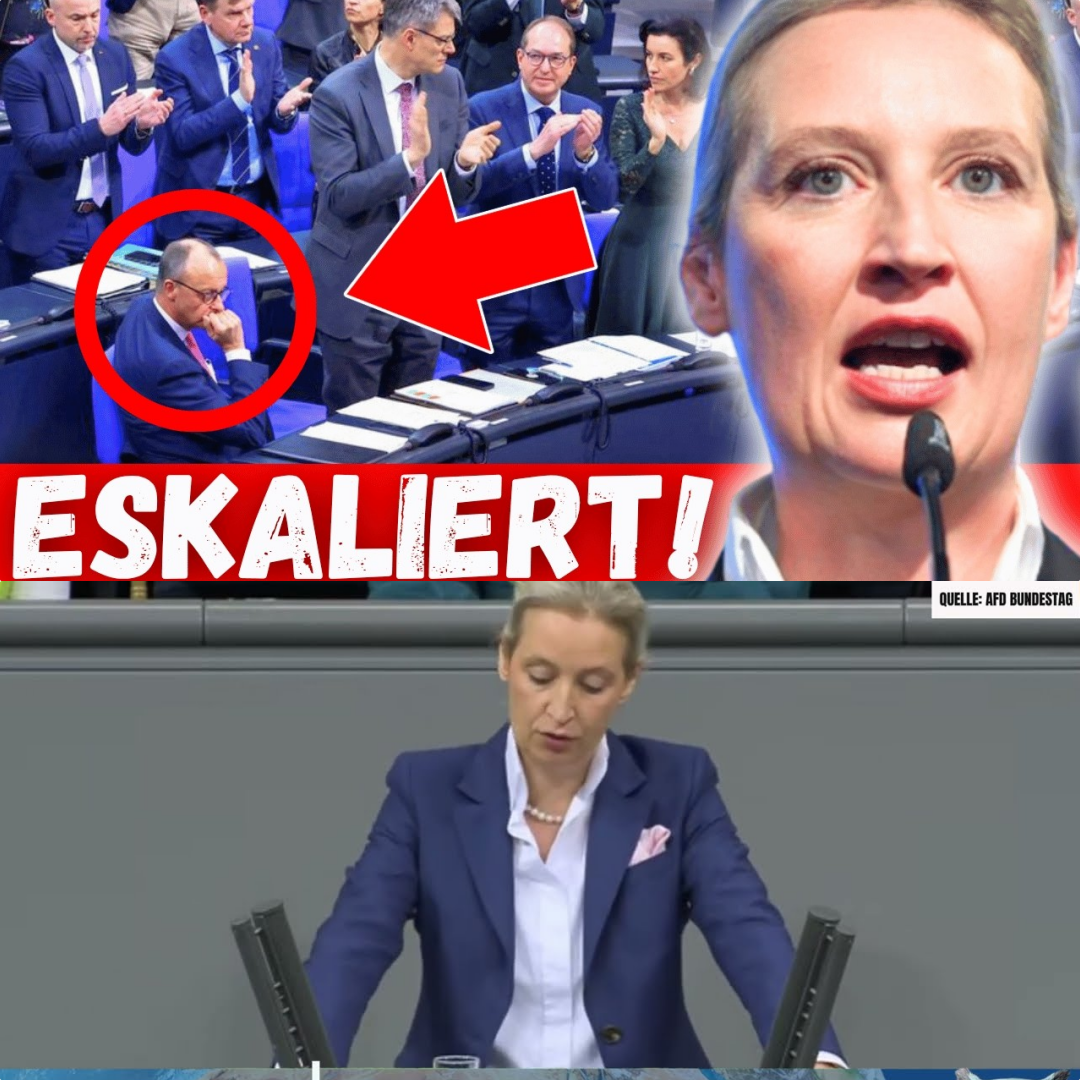 HISTORISCHE DEMÜTIGUNG IM PARLAMENT: Alice Weidels Generalabrechnung lässt die Brandmauer bröckeln – Warum plötzlich sogar die CDU klatscht