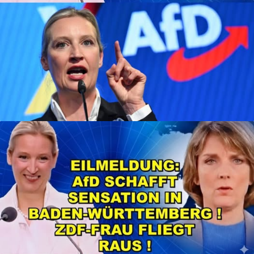 Sensation in Baden-Württemberg: AfD-Höhenflug bei Arbeitern und Bauernopfer beim ZDF erschüttern das Establishment