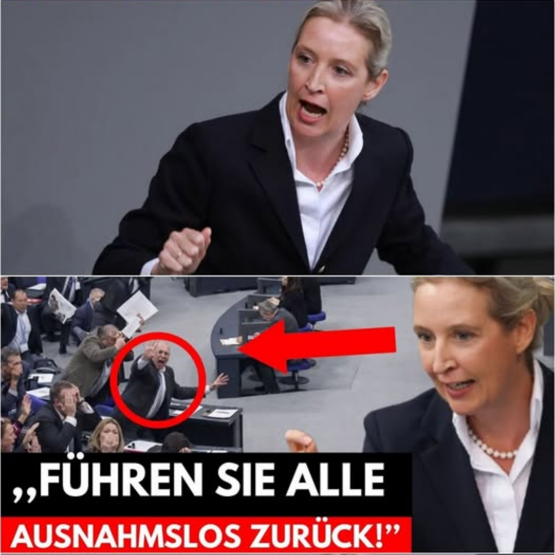 Eskalation im Bundestag: AfD-Forderung nach Massen-Rückführungen versetzt Regierungsblock in Rage
