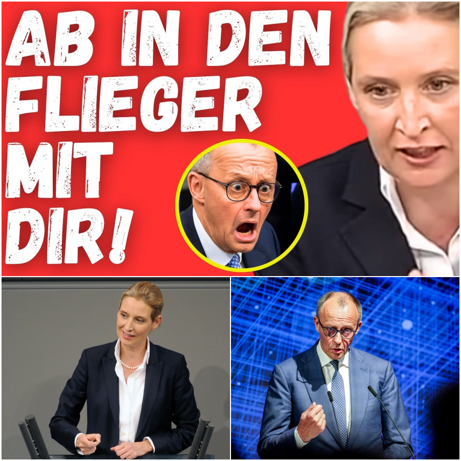 Die große Generalabrechnung: Warum die Regierung das Land an den Abgrund treibt und der Mittelstand um sein Überleben kämpft