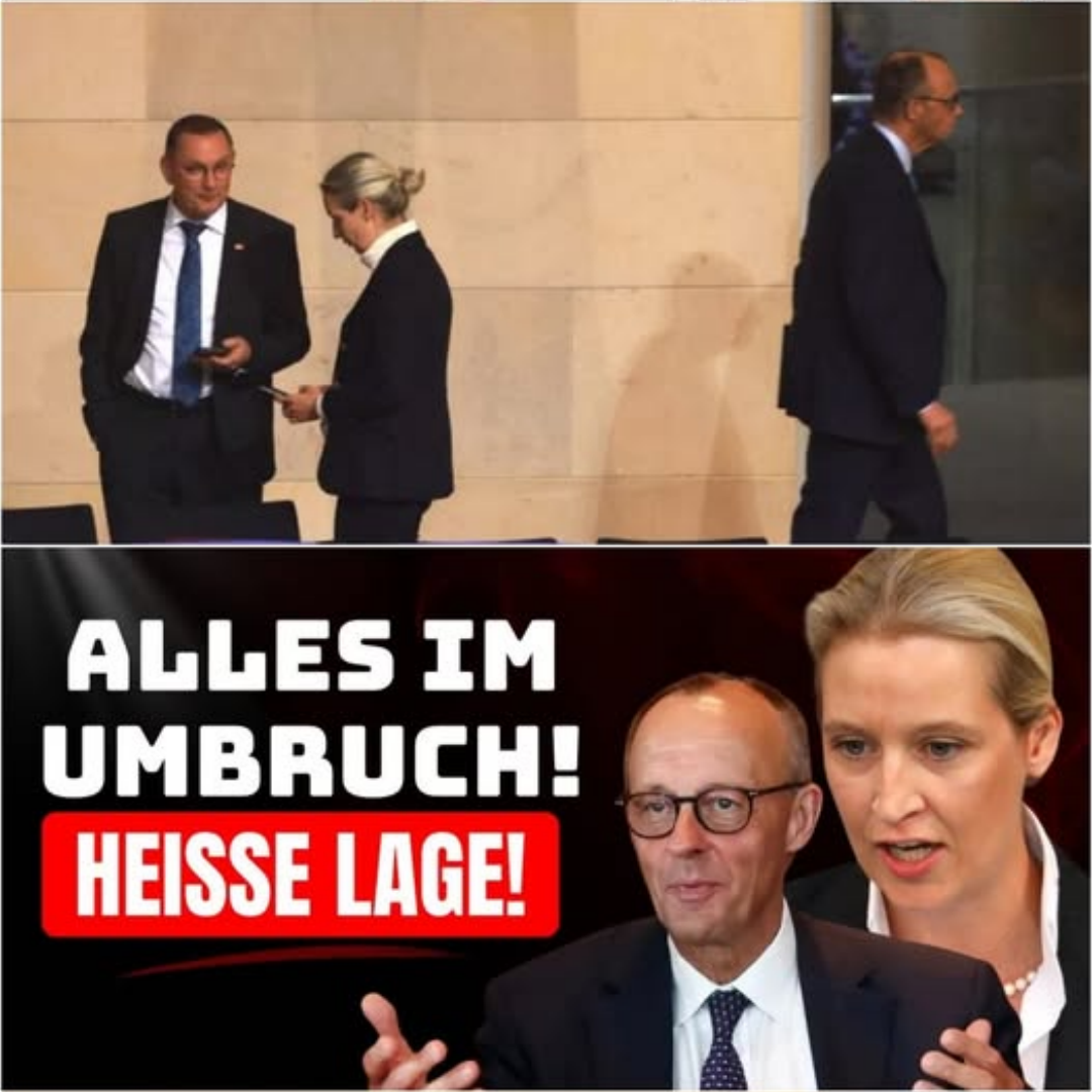 AfD im Bundestag: Geheimtreffen – ein Plan zur Machtübernahme ist bekannt