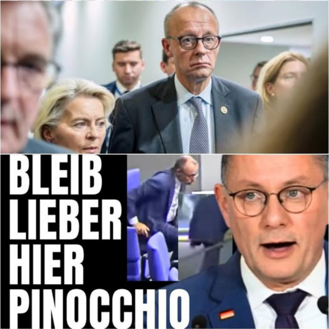 SCHOCK  Merz will AUFS KLO flüchten  ABER Tino stellt IHN gnadenlos zur Rede
