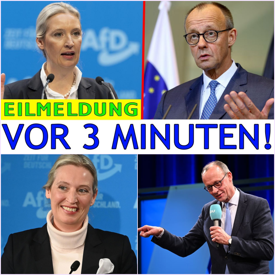 Politisches Beben in Berlin: Der Tag, an dem die CDU zerbrach und die AfD zur zweitstärksten Kraft aufstieg