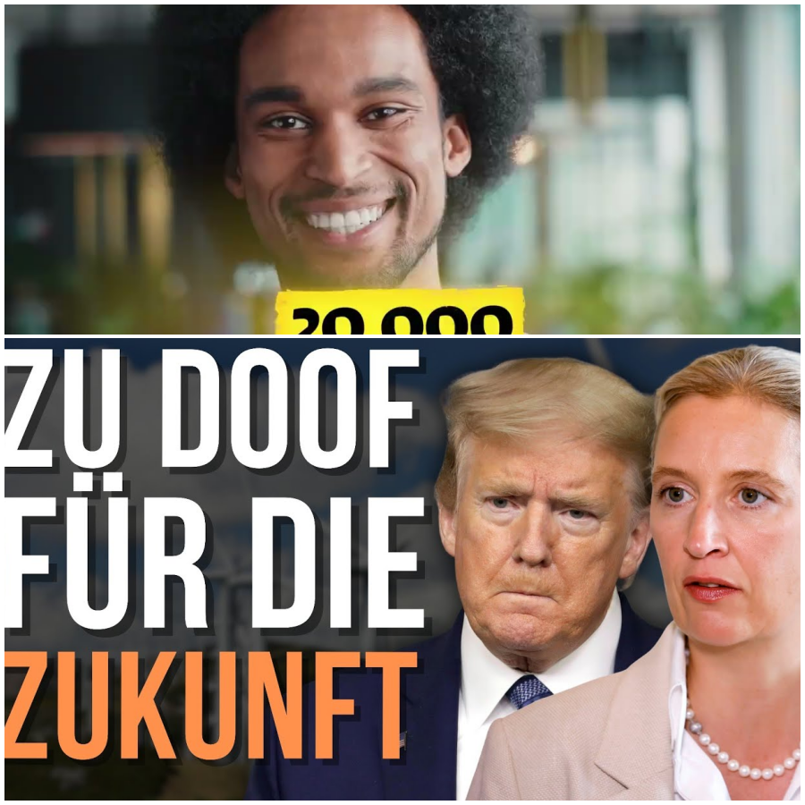Don Trumpijotes erbärmlicher Kampf gegen Windmühlen