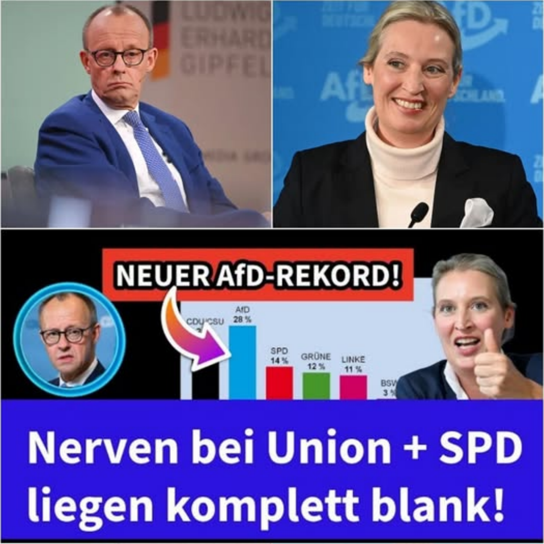 Politisches Beben in Berlin: Koalition vor dem Kollaps, während neue Umfragewerte die Parteienlandschaft erschüttern
