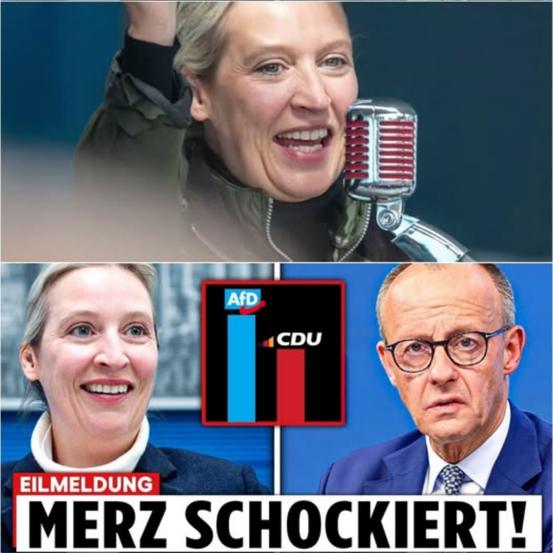 Umfragehammer erschüttert die Republik: Sucht Friedrich Merz heimlich den Kontakt zu Alice Weidel?