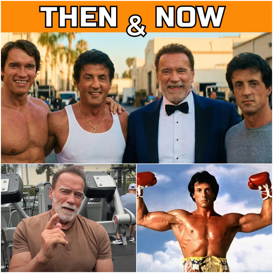 Top Action-Stars im Wandel der Zeit: So drastisch haben sich unsere Leinwandhelden von damals bis heute verändert