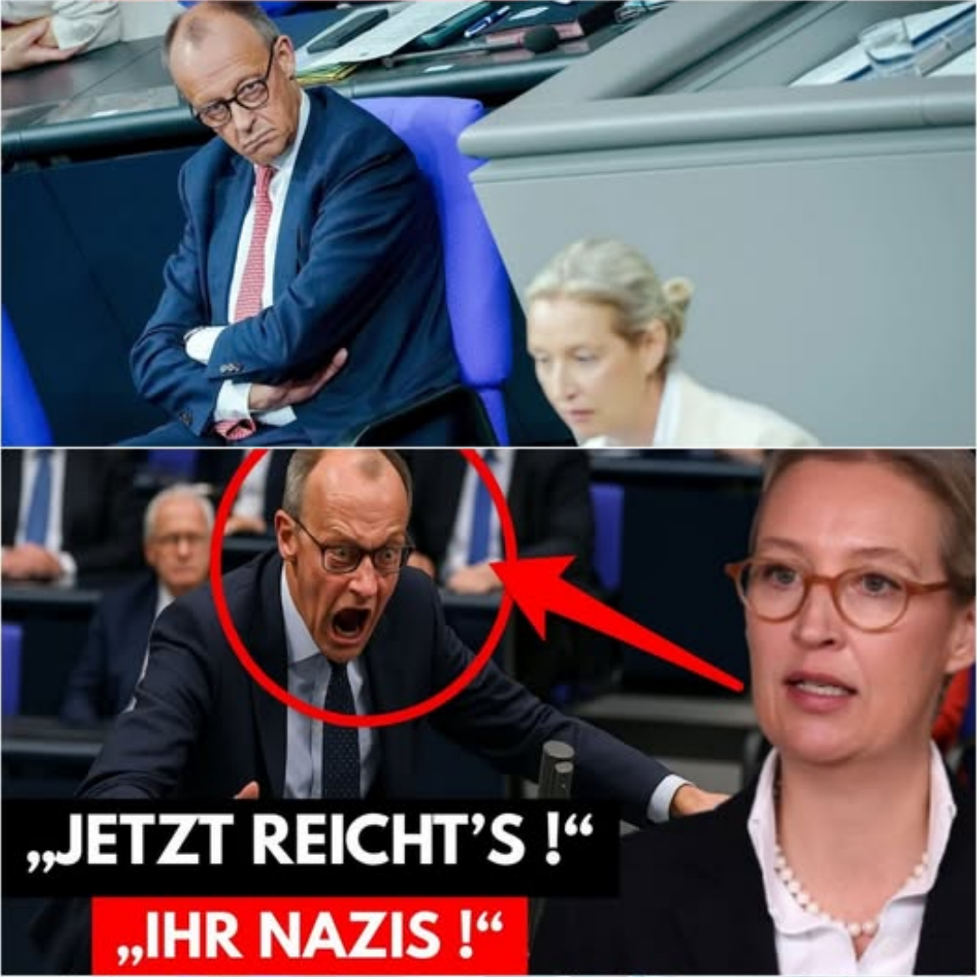 Frontalangriff im Bundestag: Alice Weidel rechnet gnadenlos mit Friedrich Merz und der CDU-Politik ab