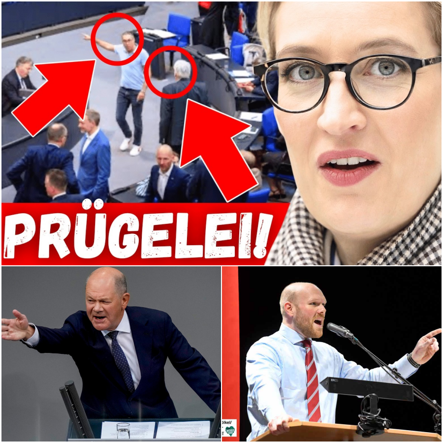 Kollaps der Konsenskultur: Wenn existenzielle Krisen das Parlament an den Rand der Eskalation treiben