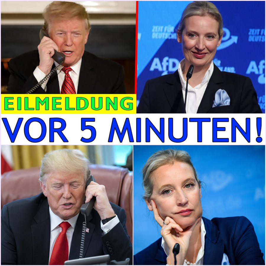 Sensationeller Machtwechsel am Telefon: Wie Trumps 45-Minuten-Gespräch mit Alice Weidel das politische Berlin in eine Schockstarre versetzt