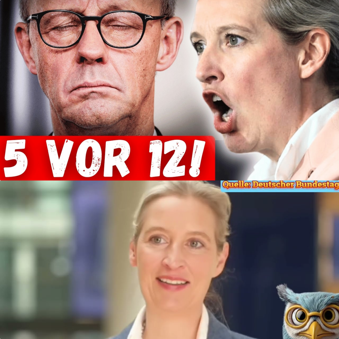 Schock-Prognose 2027: Alice Weidel warnt vor dem totalen Systemkollaps und dem Ende des deutschen Mittelstands