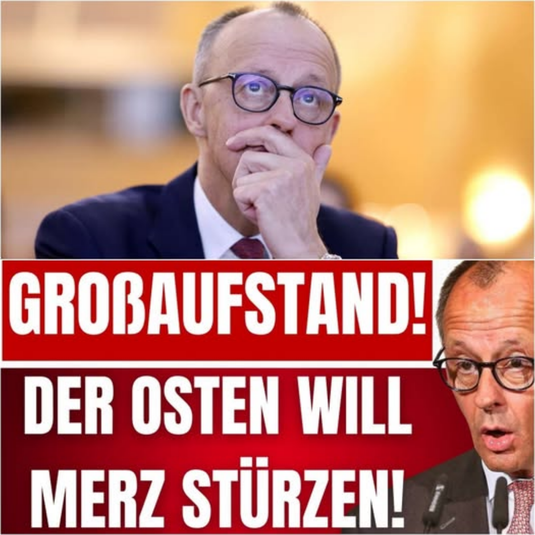 Ostdeutschland im Aufruhr: Wie massive Bürgerproteste das politische System ins Wanken bringen und Friedrich Merz massiv unter Druck setzen