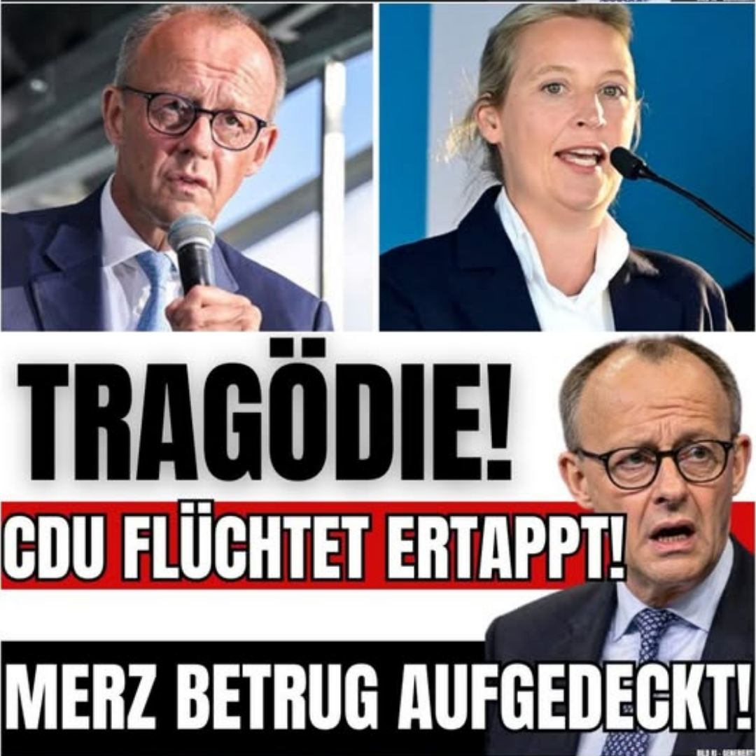 Der historische Eklat im Parlament: Wie Alice Weidel einen gigantischen Milliardenbetrug aufdeckt und die CDU in Panik die Flucht ergreift
