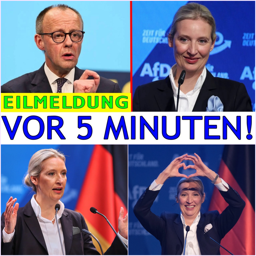 Der Brandmauer-Bumerang: Wie eine beispiellose Ausgrenzung Alice Weidel zur unübersehbaren politischen Macht formte