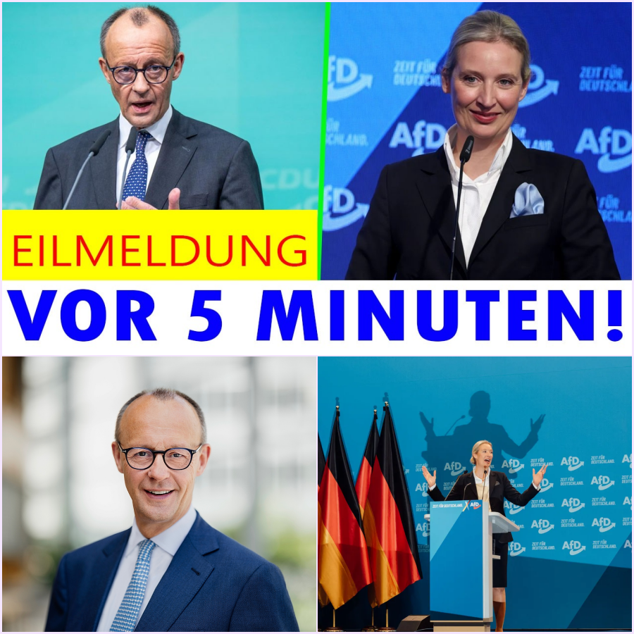 Der Kanzler-Coup: Wie Friedrich Merz angesichts historischer 45 Prozent für die AfD verzweifelt Neuwahlen verhindern will