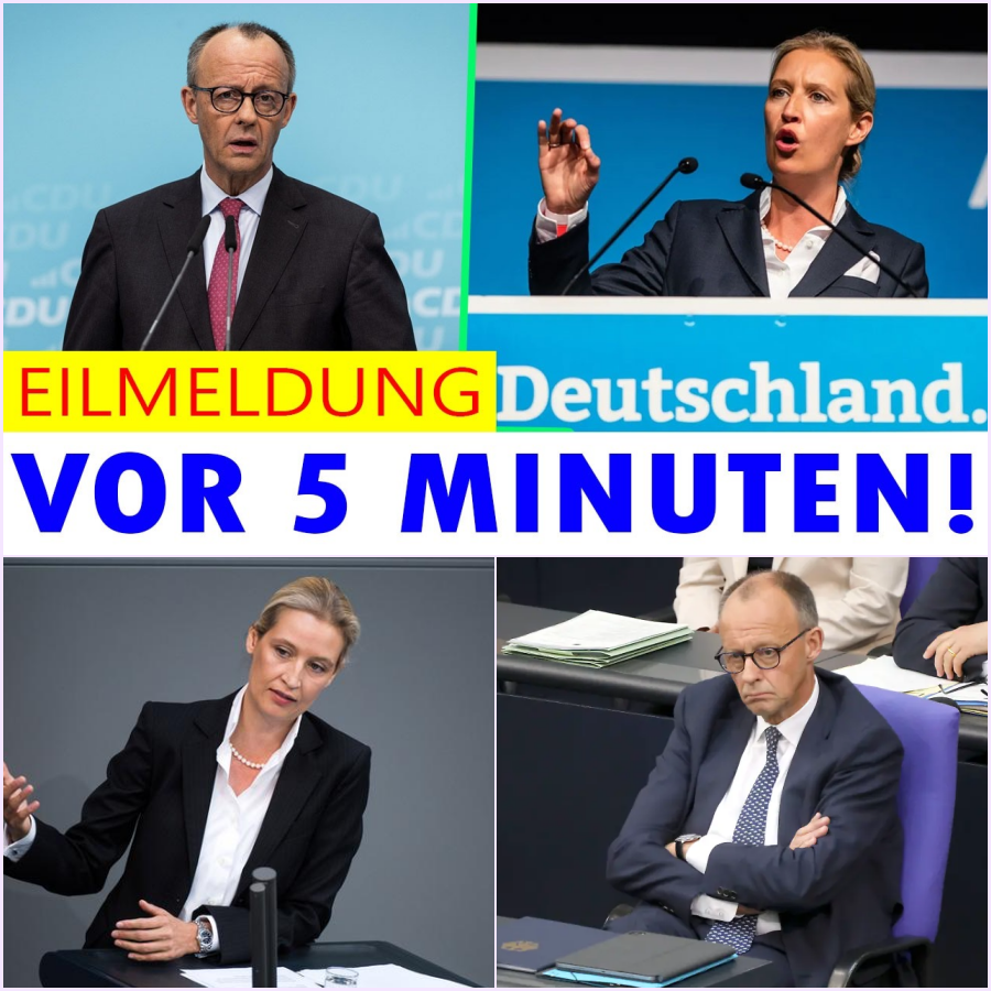 Renten-Schock im Parlament: Milliarden fließen ins Ausland, während Deutschlands Senioren Pfandflaschen sammeln