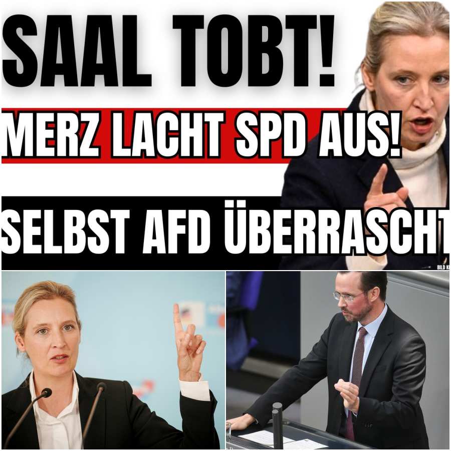 Ein politisches Beben im Bundestag: Wie Alice Weidel die SPD konterte und selbst Friedrich Merz die Fassung verlor