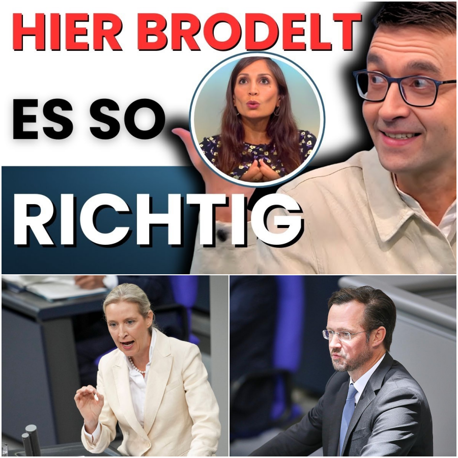 Rhetorischer K.o. im Bundestag: Wie Alice Weidel die SPD-Offensive zerlegte und Friedrich Merz zum Schmunzeln brachte
