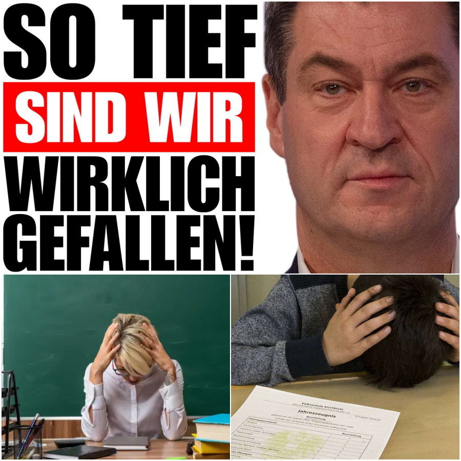 Die Kapitulation der Schulen: Warum die Abschaffung des Sitzenbleibens am Gymnasium das Ende unserer Bildungsstandards bedeutet