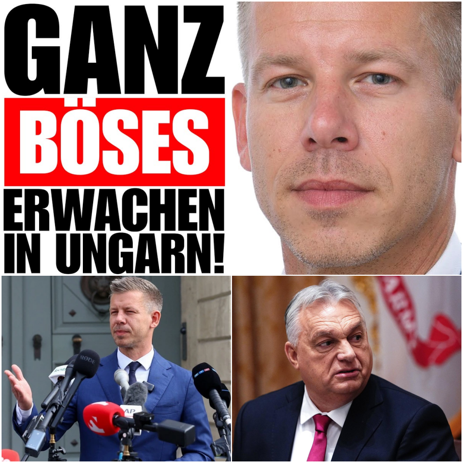 Das trojanische Pferd von Budapest: Warum Ungarns neue Regierung für ein brutales politisches Erwachen sorgt
