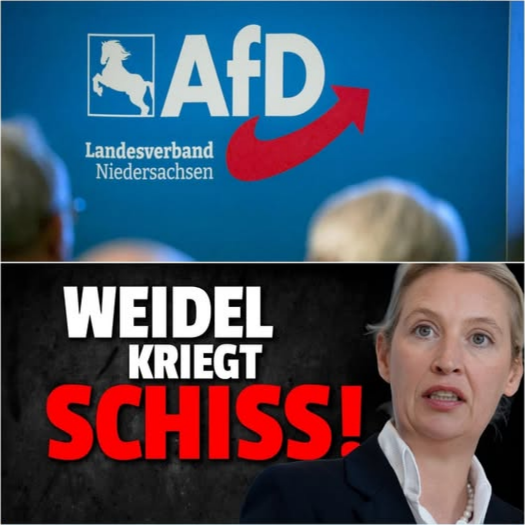 Skandal um AfD Niedersachsen: Verfassungsschutz entlarvt brisante Vorwürfe!