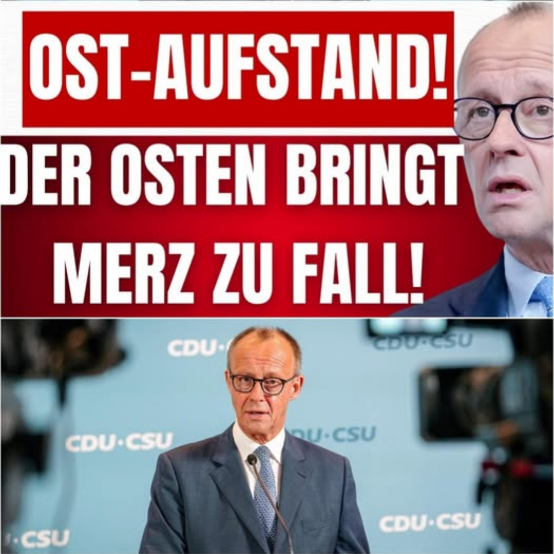 KRALL SCHLÄGT ALARM: Das politische Erdbeben aus Ostdeutschland, der Absturz von Friedrich Merz und der unausweichliche Systemwechsel