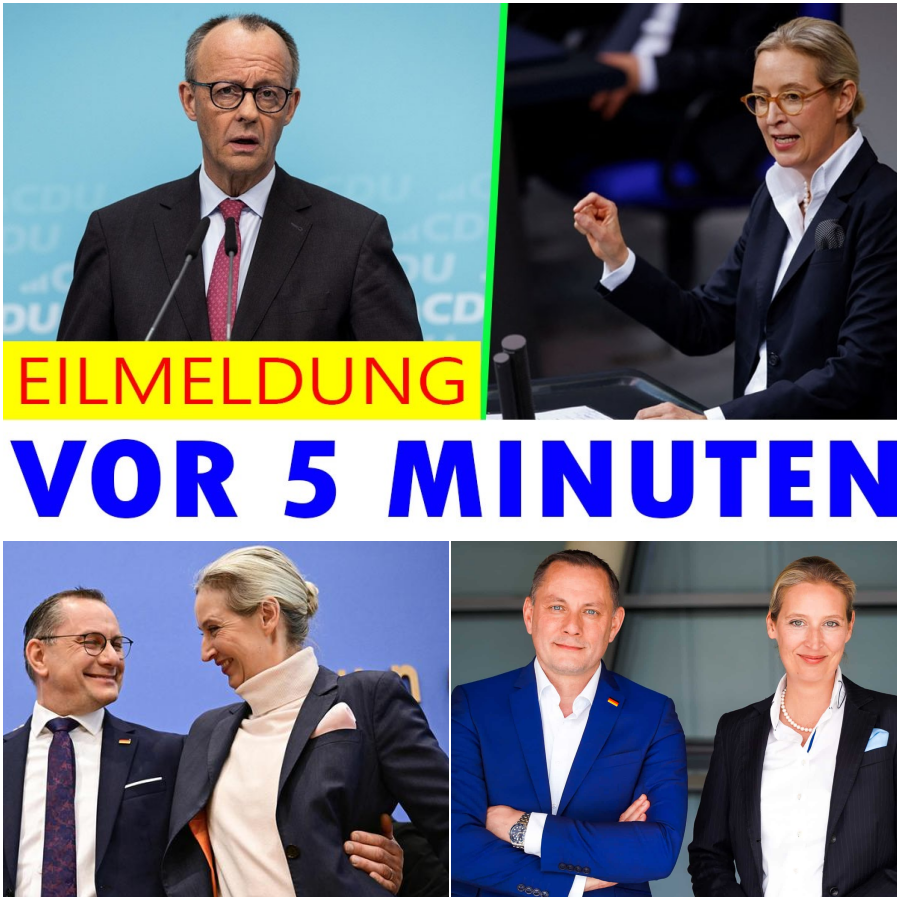 Politisches Beben in Deutschland: AfD triumphiert mit 41 % – Der tiefe Fall der CDU und das Ende der alten Gewissheiten