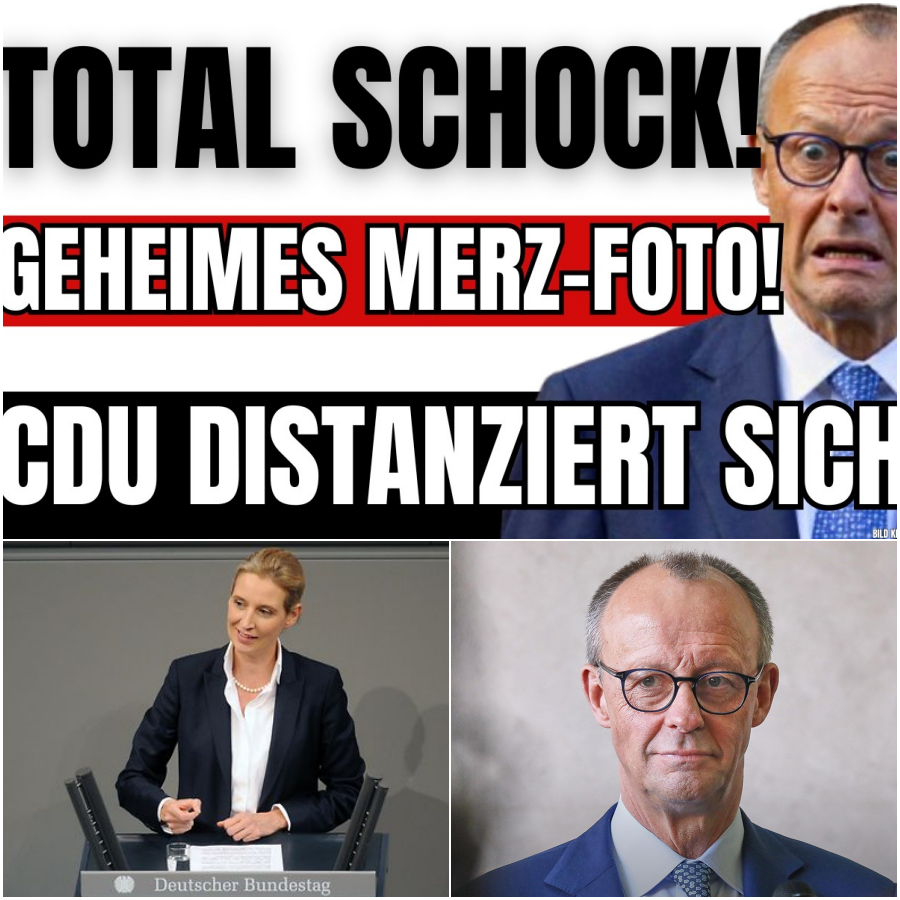 Die Generalabrechnung: Alice Weidel entlarvt den „extremistischen Wahn“ der Regierenden