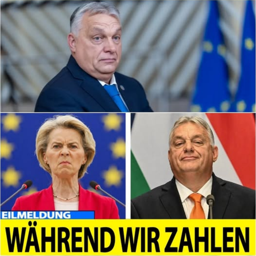 Druschba fließt WIEDER! – Orbán blamiert Brüssel komplett!