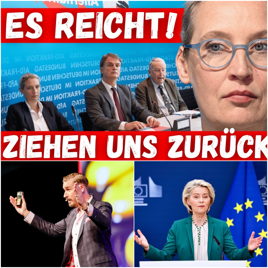 Die große Illusion des modernen Erfolgs: Warum wir uns im Hamsterrad zu Tode rennen – und der mutige Weg zu wahrer Erfüllung