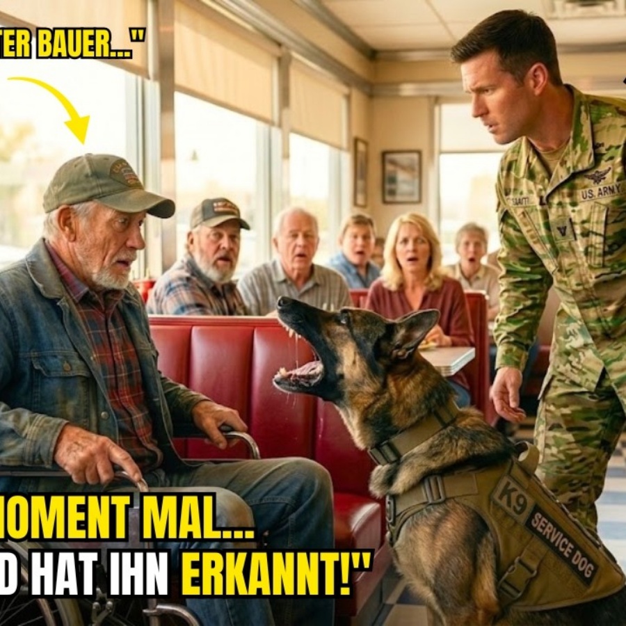 „Darf ich mich hierhin setzen?“, fragte ein Navy SEAL einen alten, versehrten Veteranen — bis der