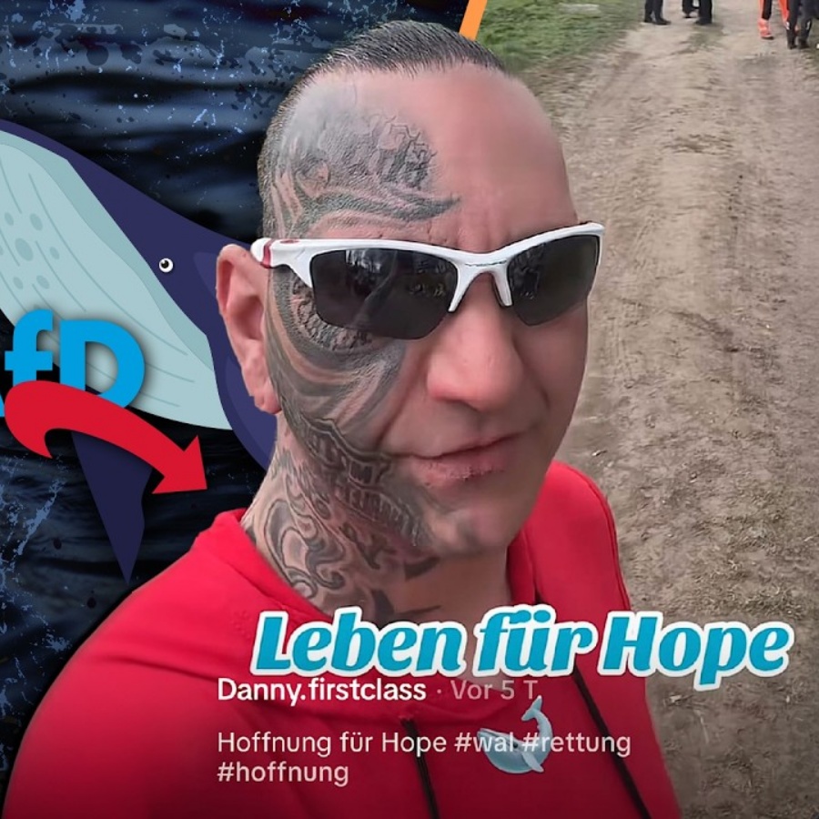 SPD & AfD machen aus Timmy einen WAL-KAMPF
