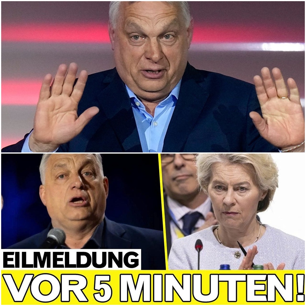 Viktor Orbáns tiefer Fall: Brüssels heimlicher Macht-Coup und was dieses Erdbeben für Deutschlands Zukunft bedeutet