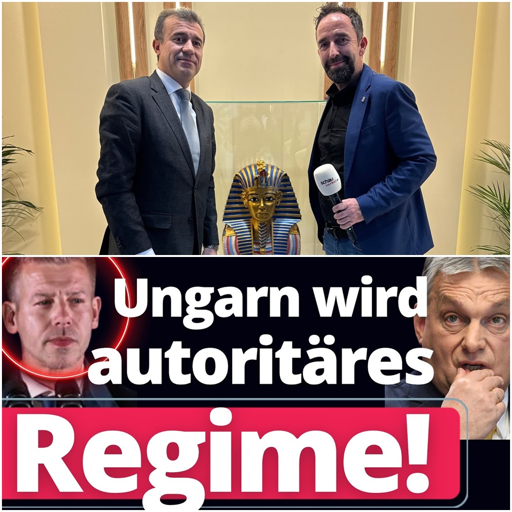 Péter Magyars eiskalter Rachefeldzug: Wie Ungarns neuer “Hoffnungsträger” die Demokratie demontiert und die Wirtschaft diktiert