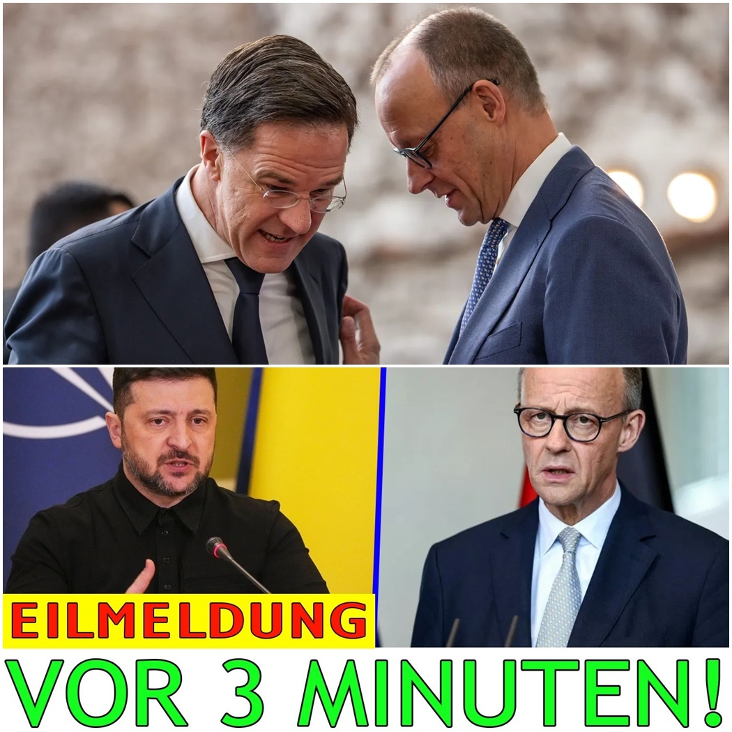 Das 115-Milliarden-Desaster: Wie das Bundesverfassungsgericht die Regierung Merz erschüttert und ein historischer Verfassungsbruch Deutschland in die Krise stürzt