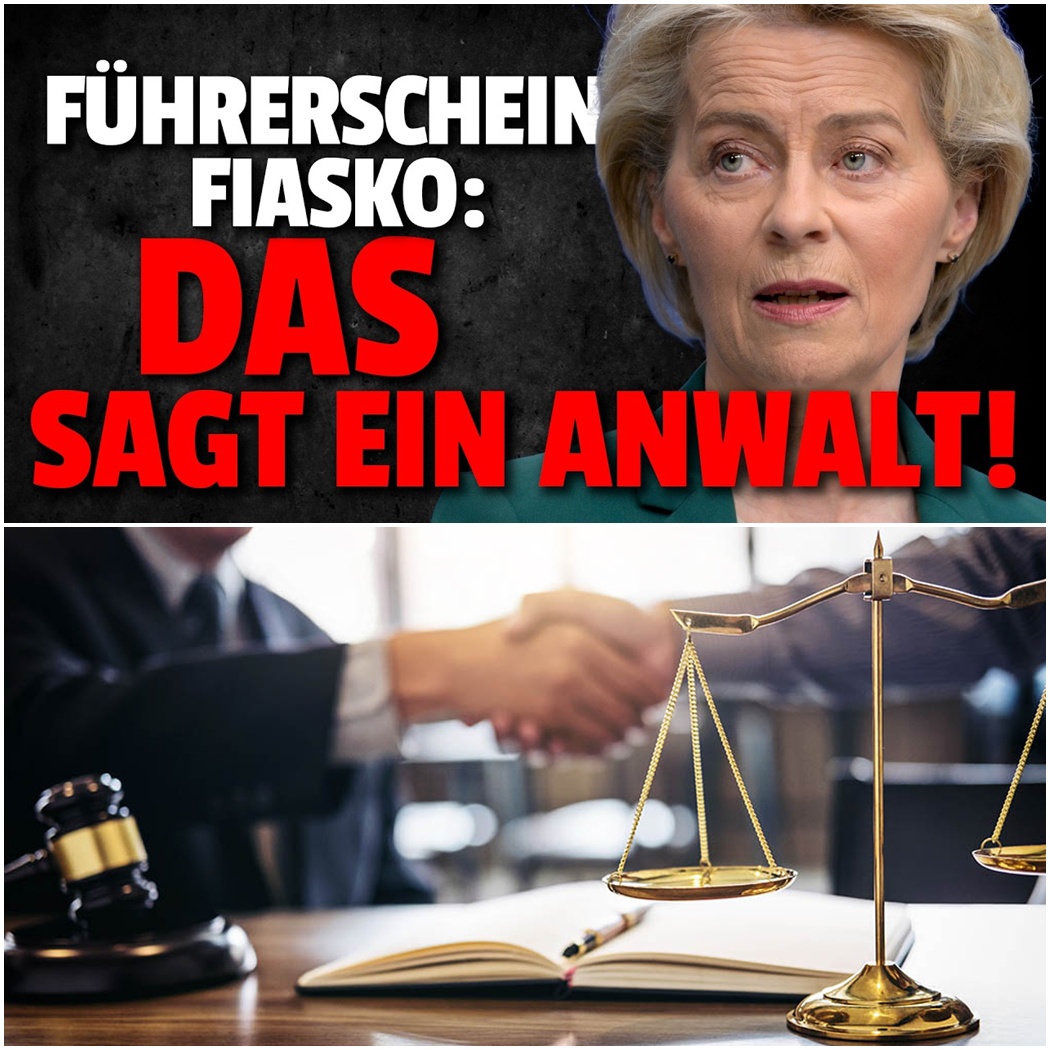 Der geniale 10-Euro-Trick: Warum Top-Anwälte dringend raten, den Führerschein niemals im Auto mitzuführen