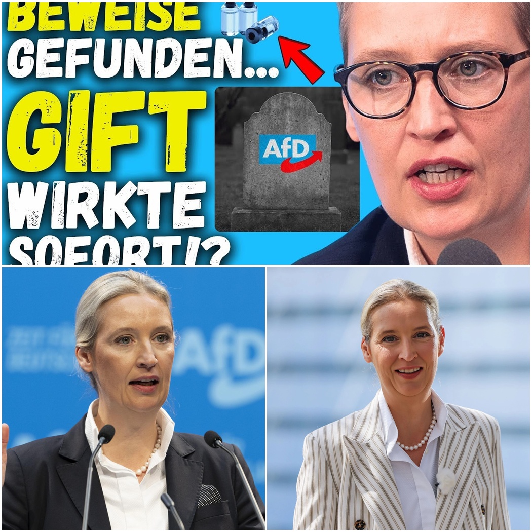 DAS TODES-RÄTSEL VON NRW & DIE MERZ-ABRECHNUNG: Alice Weidel bricht das Schweigen – “Er ist nicht sonderlich intelligent!”