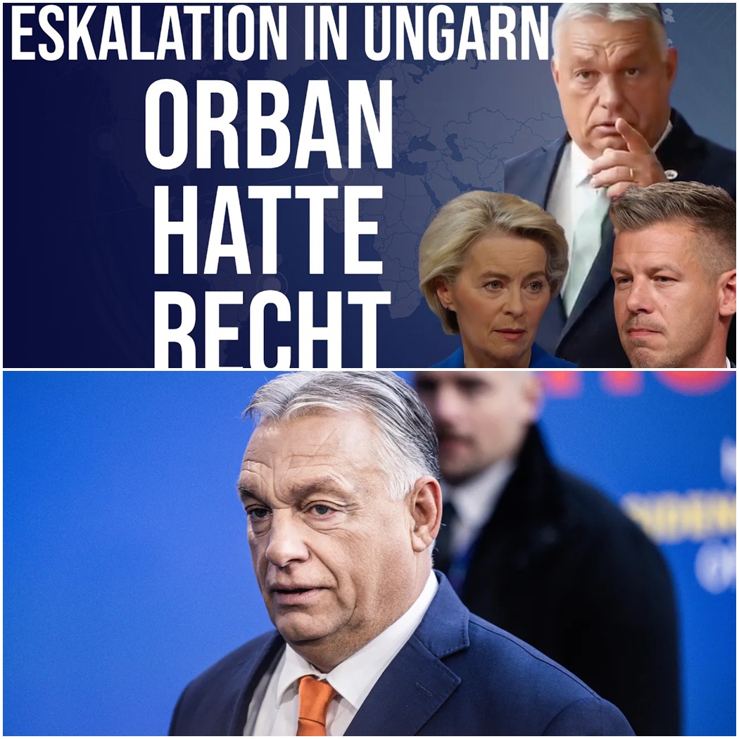 Politisches Beben in Osteuropa: Wie EU-Eliten stürzen, Orbán recht behält und Putins Triumph befeuert wird