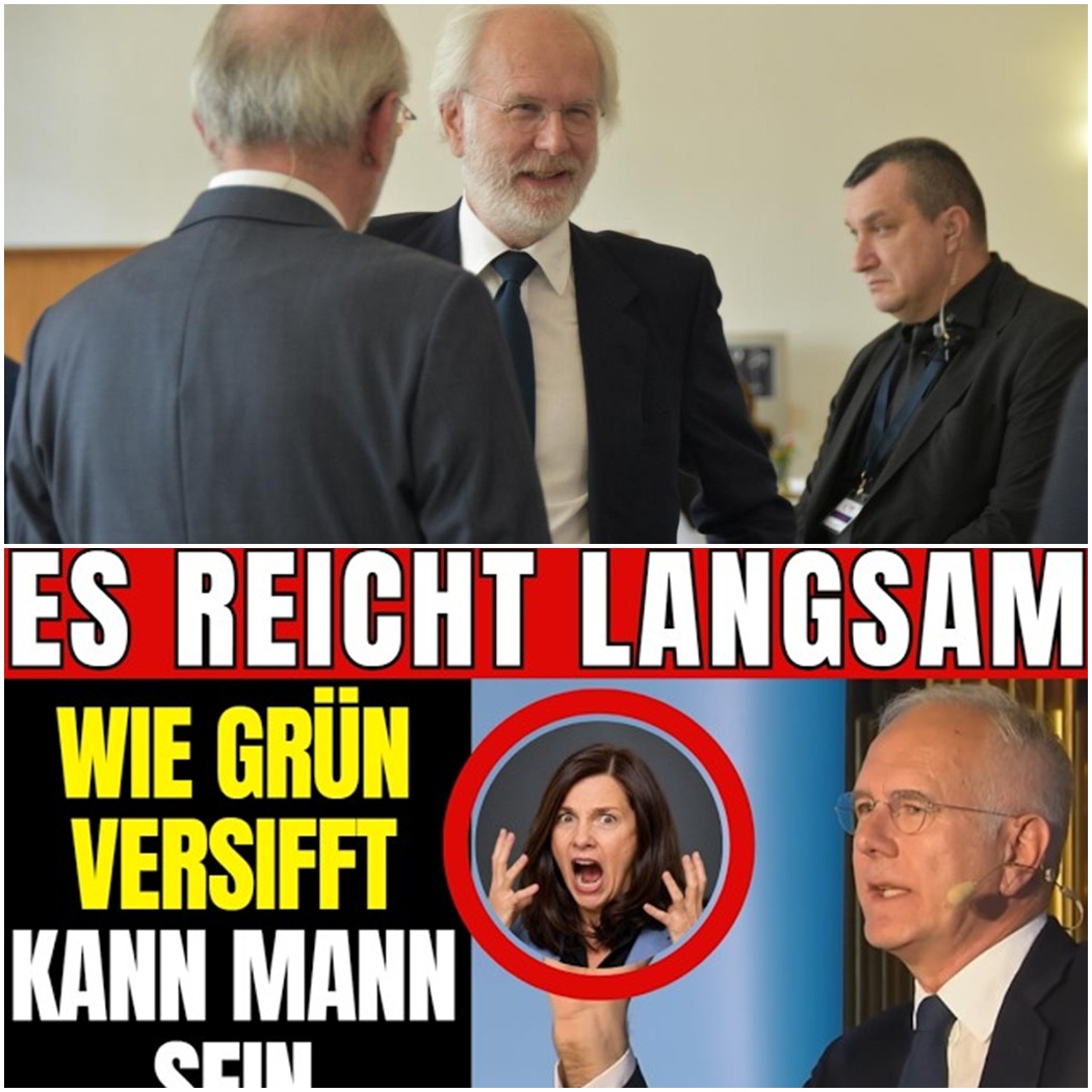 „Komplett Matsch in der Birne!“ – Harald Schmidt eskaliert im TV-Studio und rechnet schonungslos mit der grünen Elite ab