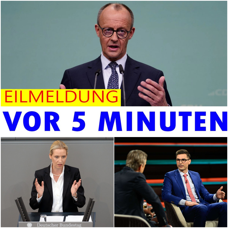 Das dröhnende Schweigen im Bundestag: Wie ungelöste Wahl-Skandale das Vertrauen in unsere Demokratie bedrohen