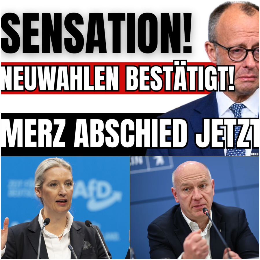 Ein politisches Beben in Deutschland: Alice Weidel rechnet ab und kündigt Neuwahlen an